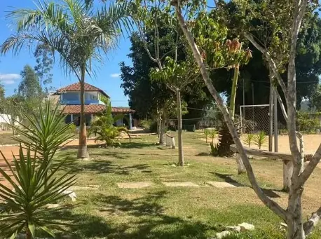 Gramado com caminho de lajotas, uma palmeira e árvores, com um sobrado ao fundo